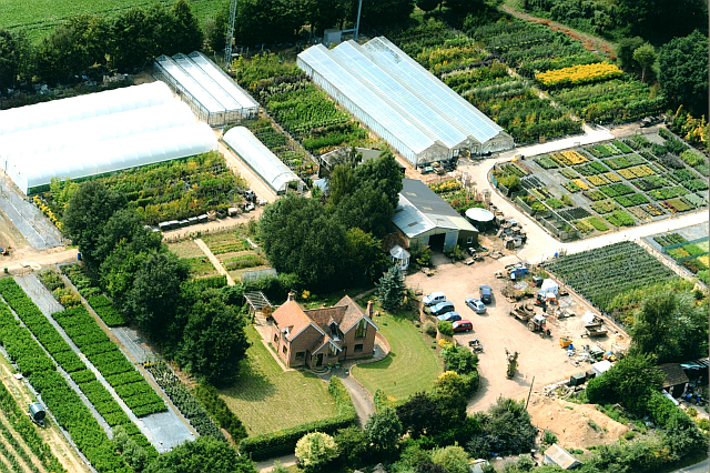 Aerial view of Sandy Lane Nursery, Diss, Norfolk.